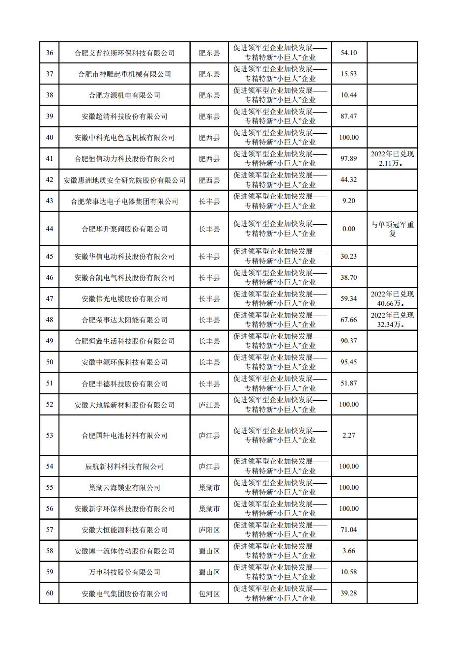 (合肥市)2022年下半年固定資產(chǎn)投資、2022年度先進(jìn)制造業(yè)、民營經(jīng)濟(jì)及專精特新政策項(xiàng)目獎補(bǔ)資金的公示